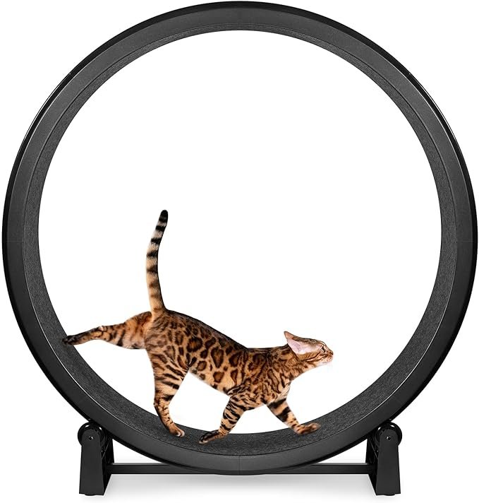 One Fast Cat Exercise Wheel Gen 7