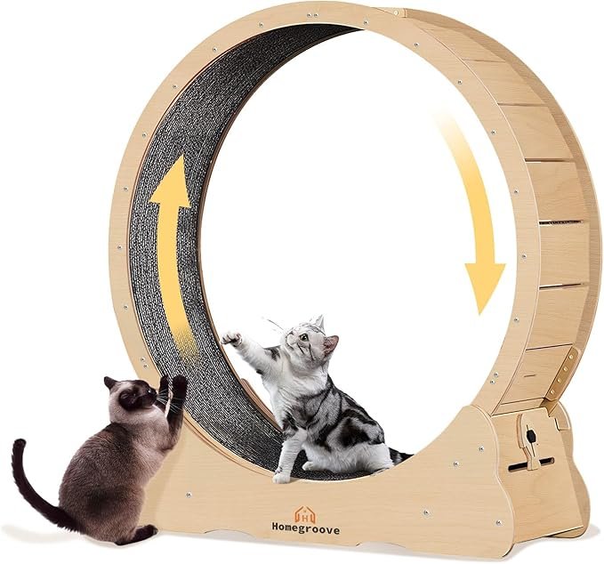 Homegroove Cat Exercise Wheel 46 inch XL